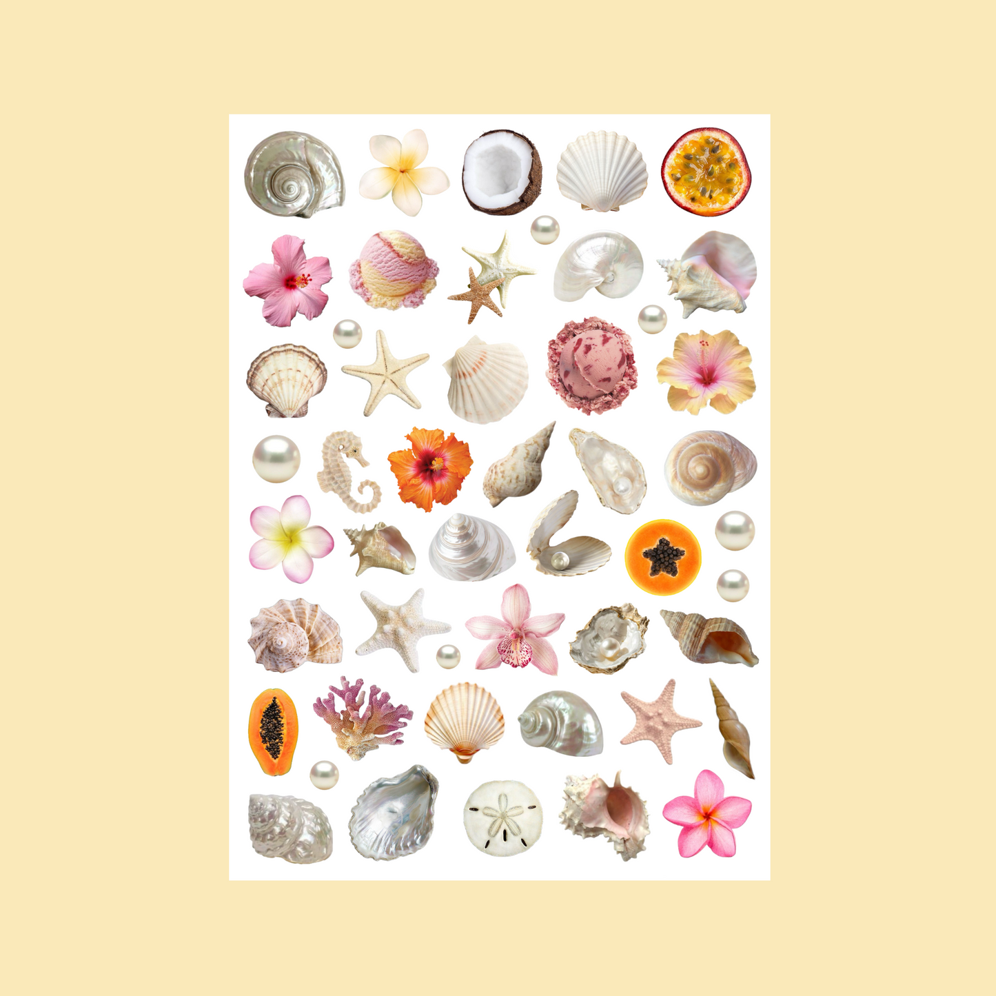 sea shells sticker sheet