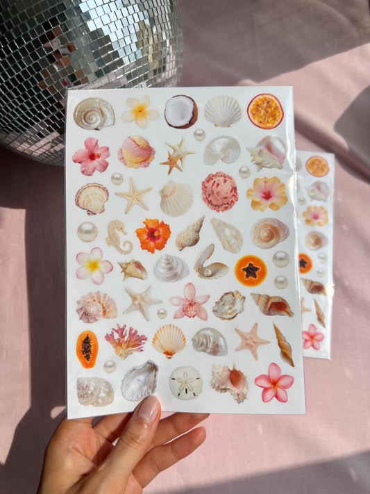 sea shells sticker sheet